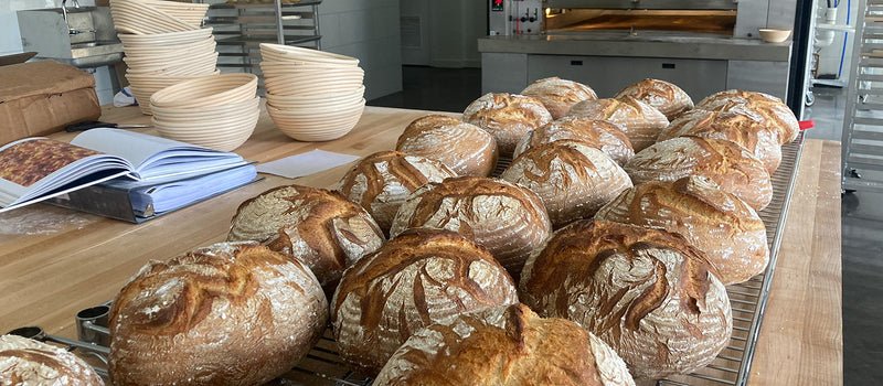 Bread and Roses Bakery
